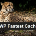 WP Fastest Cache Logo