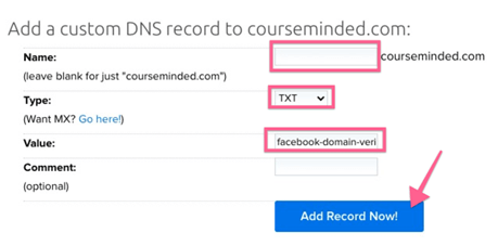 Custom DNS Record Example